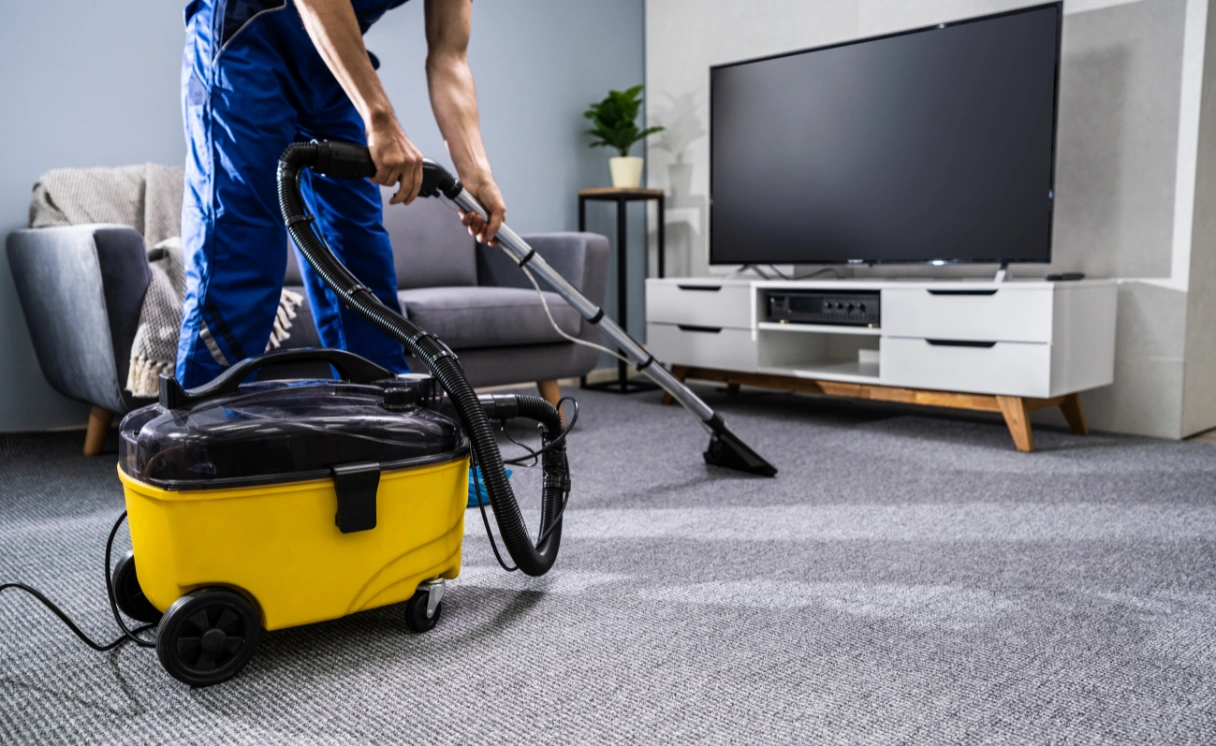 Extract Upholstery Cleaning Sassafras Contact Office